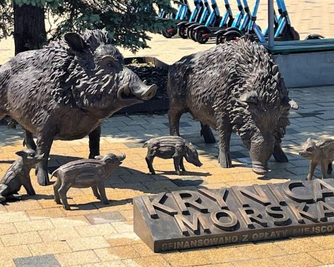 Attractions of the area